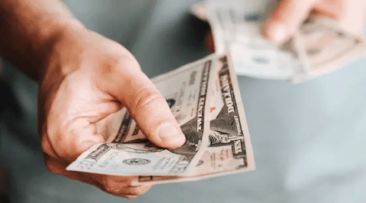 Aurora Cannabis compra Safari Flower por US$ 26,5 milhões