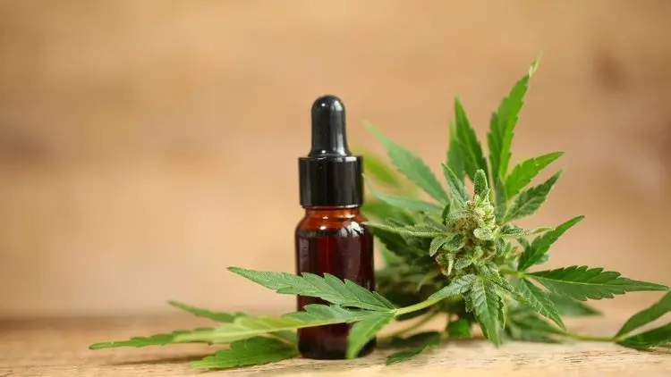 Produtos da RDC 660 lideram e impulsionam vendas no mercado de cannabis medicinal no Brasil em 2024