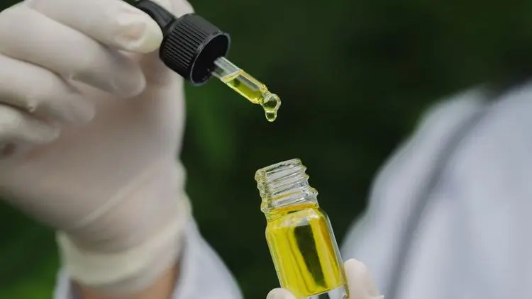 CBCM oferece masterclass 100% gratuita: Cannabis Medicinal: Tudo o que você precisa saber em 2025