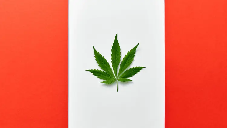 Canadenses consideram que legalização da cannabis foi a maior conquista de Justin Trudeau