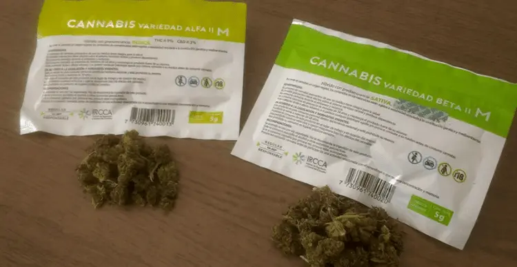 Legalização no país vizinho