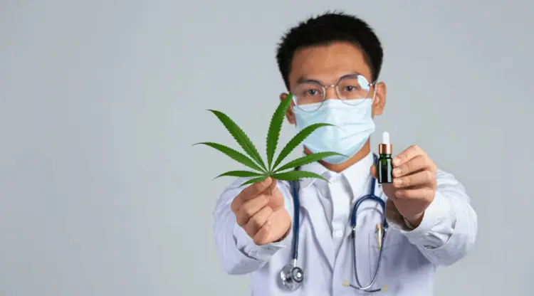 Malásia: quase 80% dos médicos apoiam a cannabis medicinal como tratamento