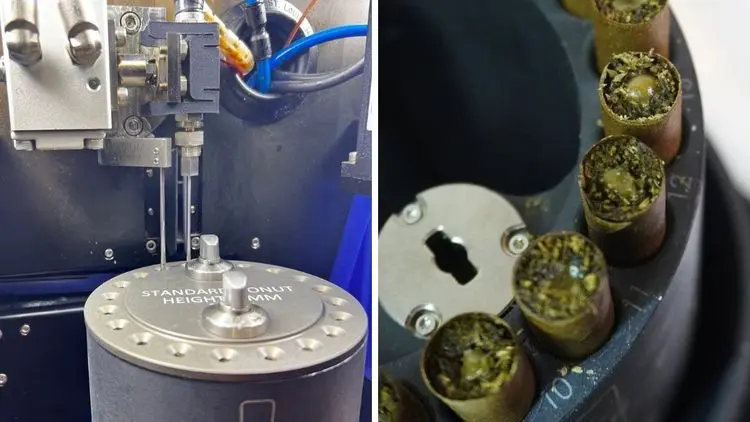 De Marte à cannabis: ex-engenheiro da NASA cria robôs para cannabis