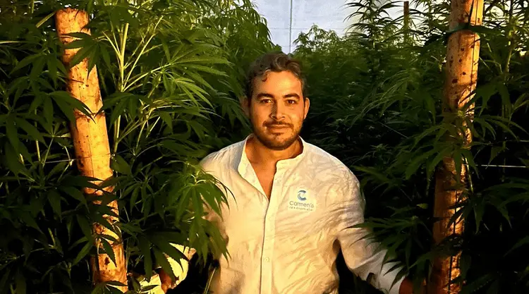 Medicamento com maior concentração de THC da Carmen’s Medicinals estará disponível no próximo mês
