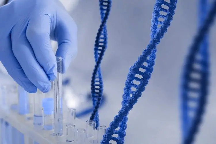 Medicina de alta precisão, fórmulas geneticamente alinhadas e acolhimento