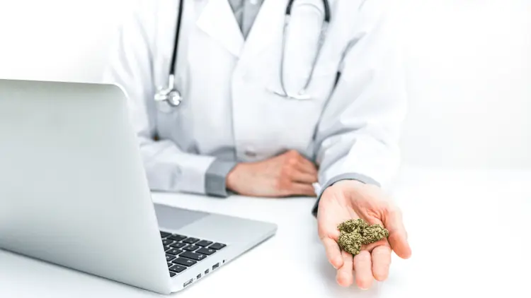 República Checa autorizará a médicos de atención primaria recetar cannabis medicinal