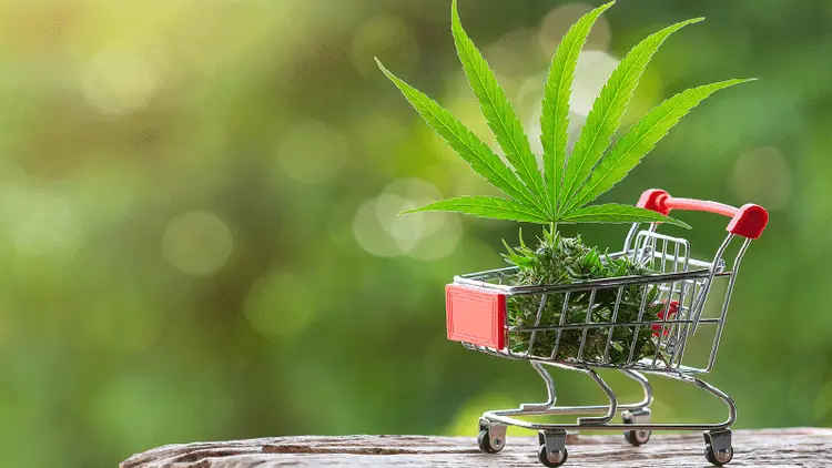 Mercado adulto de cannabis mantém tendência de alta no Novo México