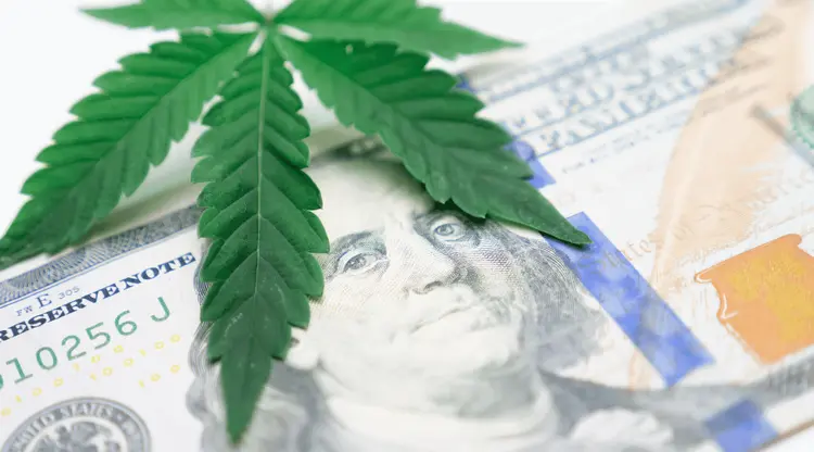 Mercado bilionário de cannabis deve atrair mais investidores em 2023