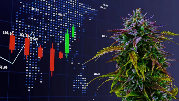 Oportunidades em alta: ações de cannabis para ficar de olho