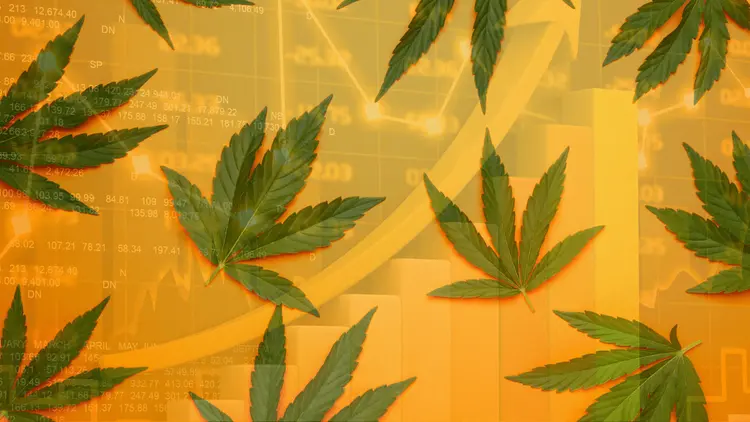 Mercado de cannabis medicinal no Brasil tem projeção de R$ 1 Bilhão até final de 2025