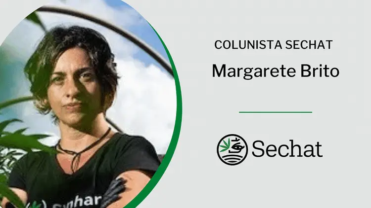 Mulheres, o ecossistema da cannabis e a urgência da luta feminista