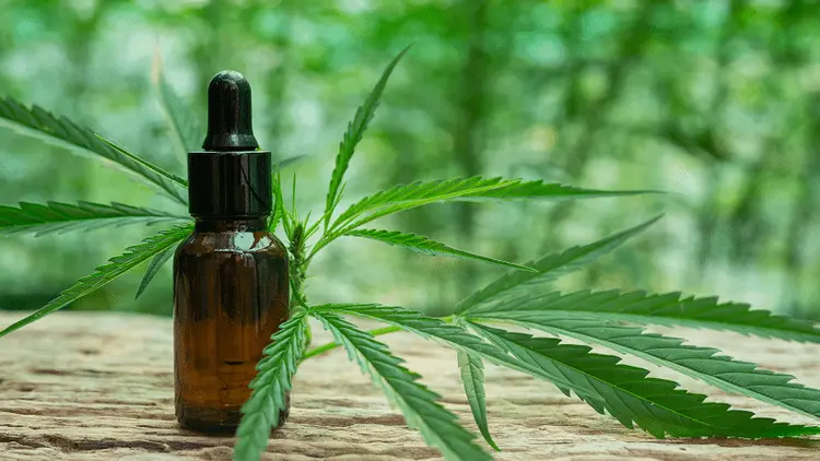 Negócios: a decisão do CFM afetou as empresas de cannabis?