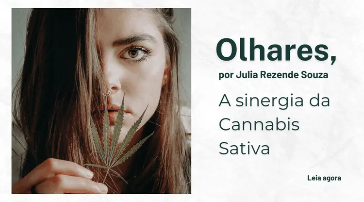 O que a cannabis pode oferecer para o mundo