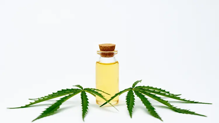 “Start low, go slow”: a regra que guia o uso seguro da cannabis medicinal