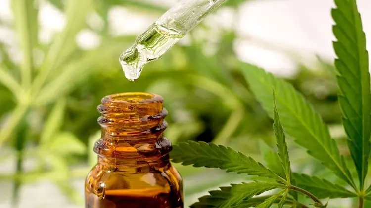 Reta final de adesões ao abaixo-assinado em defesa dos produtos à base de cannabis importados
