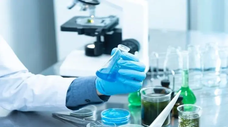 Pesquisa em universidade analisa efeitos prolongados de medicamentos à base de cannabis na medicina veterinária