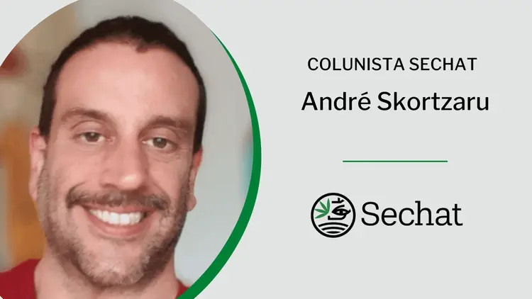 Plantas de poder: a conexão ancestral da cannabis com a sociedade contemporânea