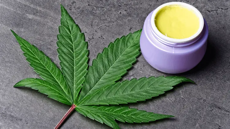 Pomada de cannabis traz esperança a pacientes com eczema e melhora a qualidade de vida