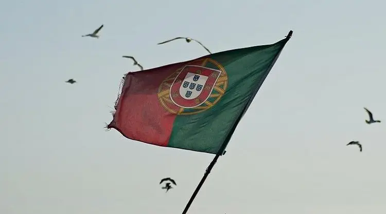Portugal define novas regras para cultivo industrial de cânhamo