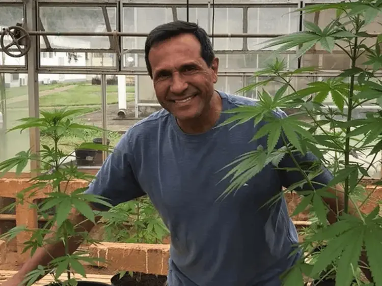 Professor responsável pelo banco genético de cannabis responde dúvidas sobre monopólio de mercado 