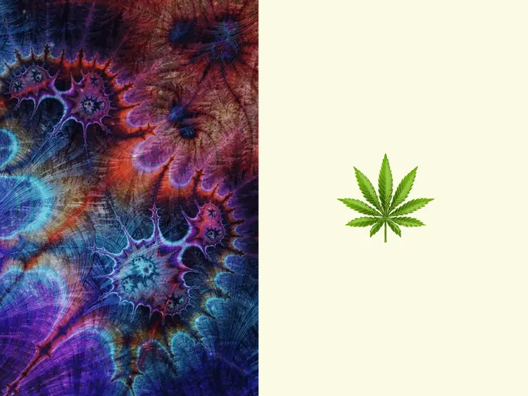 Psicodélicos x cannabis: ¿cuál es mejor para la salud mental?