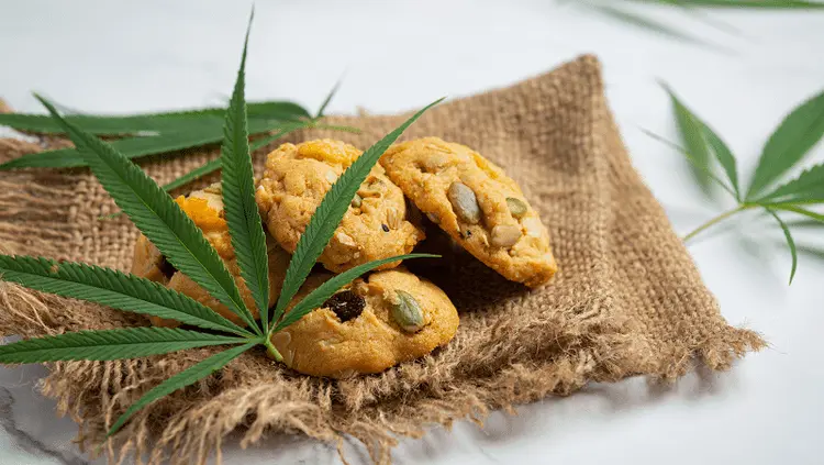Quantos produtos podem ser feitos a partir da cannabis?