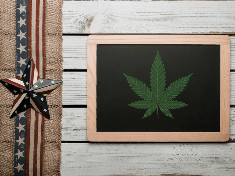 Republicanos dos EUA se recusam a permitir votação de emendas sobre maconha e psicodélicos