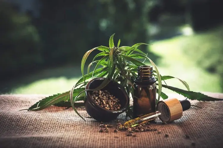 Ribeirão Pires regulamenta prescrição de medicamentos à base de cannabis