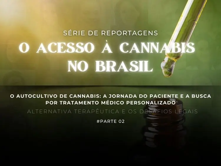 O autocultivo de cannabis: A jornada do paciente e a busca por tratamento médico personalizado