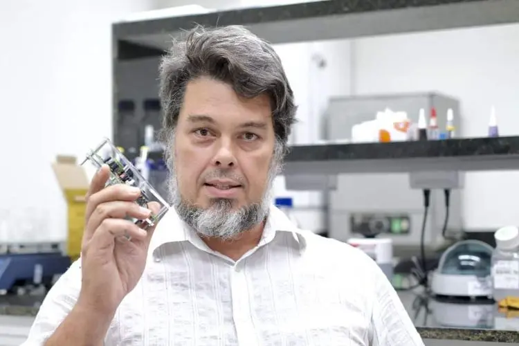 Saiba como a UFRN está desenvolvendo um sólido programa de pesquisa sobre Cannabis numa fase pré-clínica