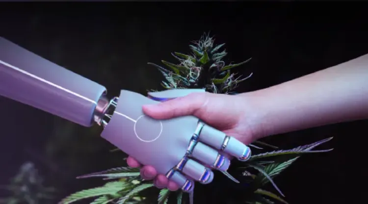 Inteligência Artificial em prol da cannabis