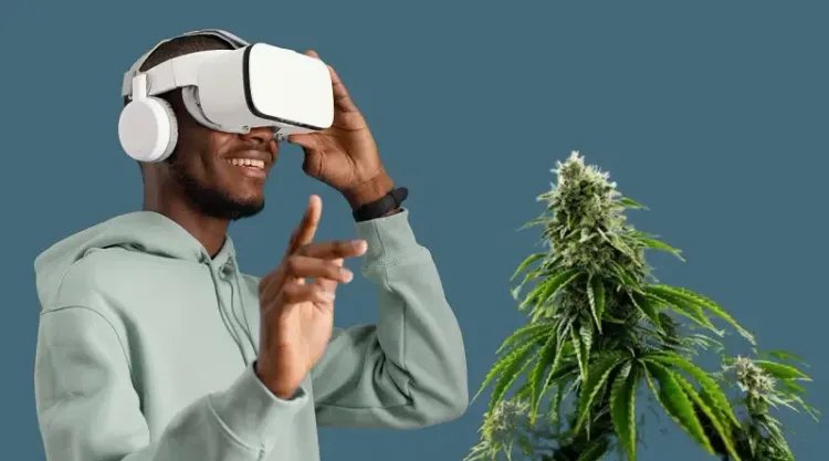 Tecnologia a favor do mercado da cannabis