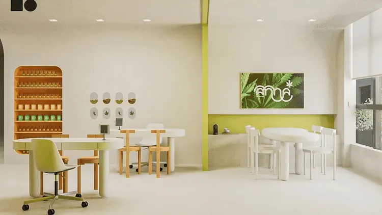 Startup promete espaço físico para tratamento com cannabis na Santa Casa de Curitiba