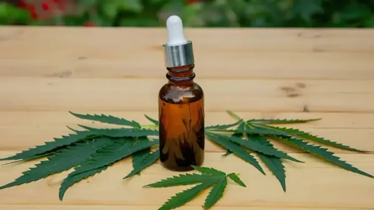 THC e câncer: quatro dias podem mudar células tumorais