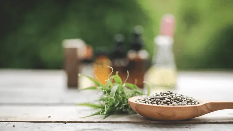 Tailândia: decretos aumentam o controle sobre o uso de cannabis em alimentos