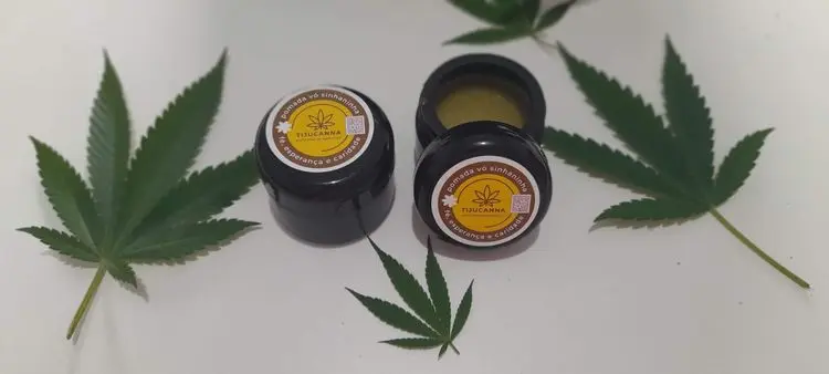 Associação conquista liminar para plantar cannabis e entra em grupo seleto