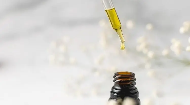 Tratamento à base de cannabis: Sete assembleias legislativas têm projetos para flexibilizar acesso de produtos medicinais pelo SUS