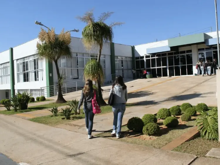 UFLA inicia pesquisa para combater insetos e ácaros no cultivo de cannabis