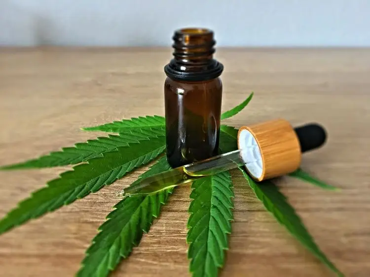 USP é a primeira em produção de artigos científicos sobre canabidiol