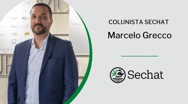 Um novo ano de novas esperanças e perspectivas para o mercado da cannabis no Brasil