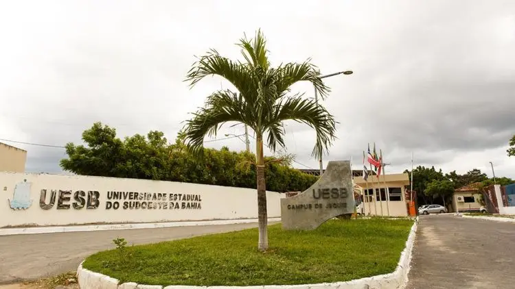 1º Simpósio “Ciência em Flor” debate usos medicinais e culturais da cannabis na Bahia