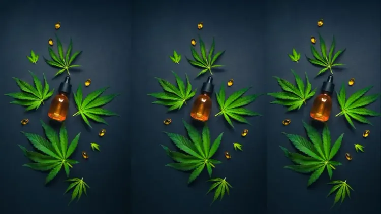 Tem ansiedade? Veja como o CBD pode ser um aliado
