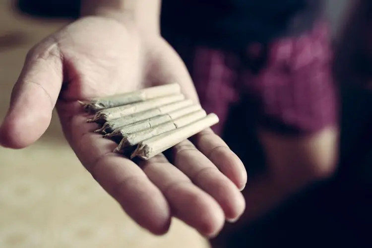 Legalização da “soruma” causa divergência em Moçambique
