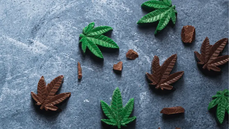 Crescimento do mercado de infusão de cannabis tem "sabor" de chocolate na América do Norte