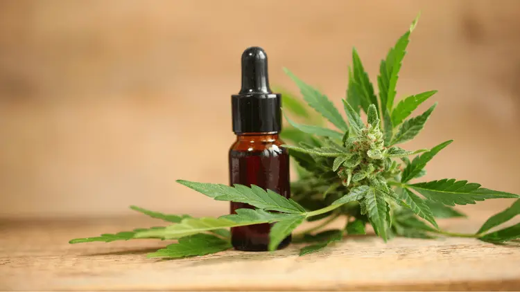 CBD ganha espaço no bem-estar: especialista explica benefícios e limites