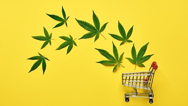 Cannabis em NY movimenta US$ 4 bilhões em vendas legais