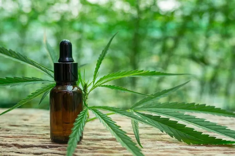 Cannabis auxilia paciente com depressão profunda