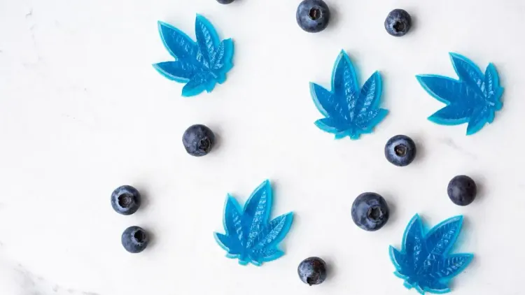 Imagem da noticia: Comestíveis de cannabis: o que muda no cérebro após o uso?