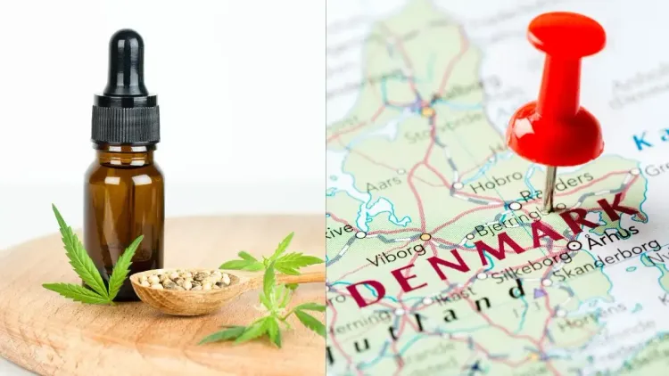 Cannabis na Dinamarca ganha espaço entre pacientes