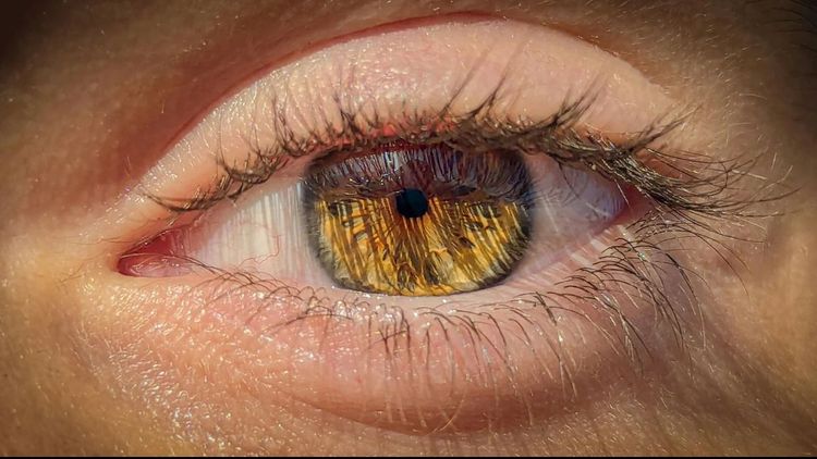 Cannabis para os olhos: estudo testa colírio de CBD